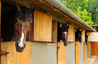 free Cefn Ddwysarn stable construction quotes